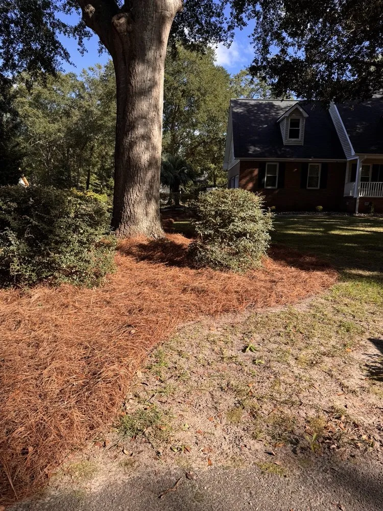 Professional landscape design experts serving Florence, SC - Parker Lawn & Landscape