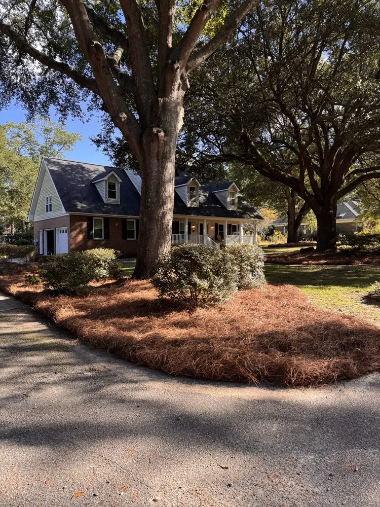 Expert yard maintenance in Florence, SC by Parker Lawn & Landscape