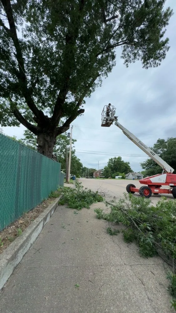 Reliable yard cleanup service in McAlester, OK - Parker Lawn and Land Management
