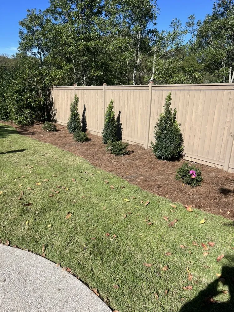 Affordable landscaping services near you across Memphis, TN - Parker Lawn and Landscape