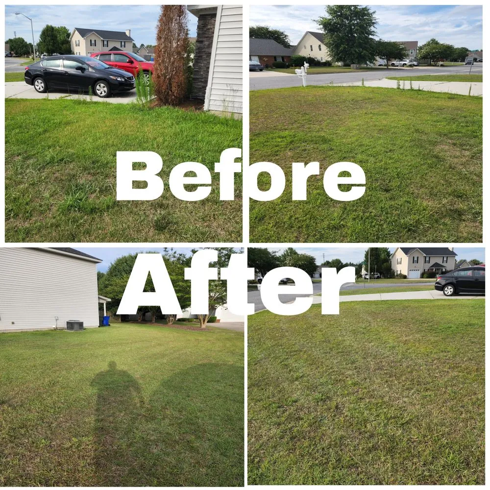 Trusted yard maintenance in Winterville, NC by Parker Maintenance Services