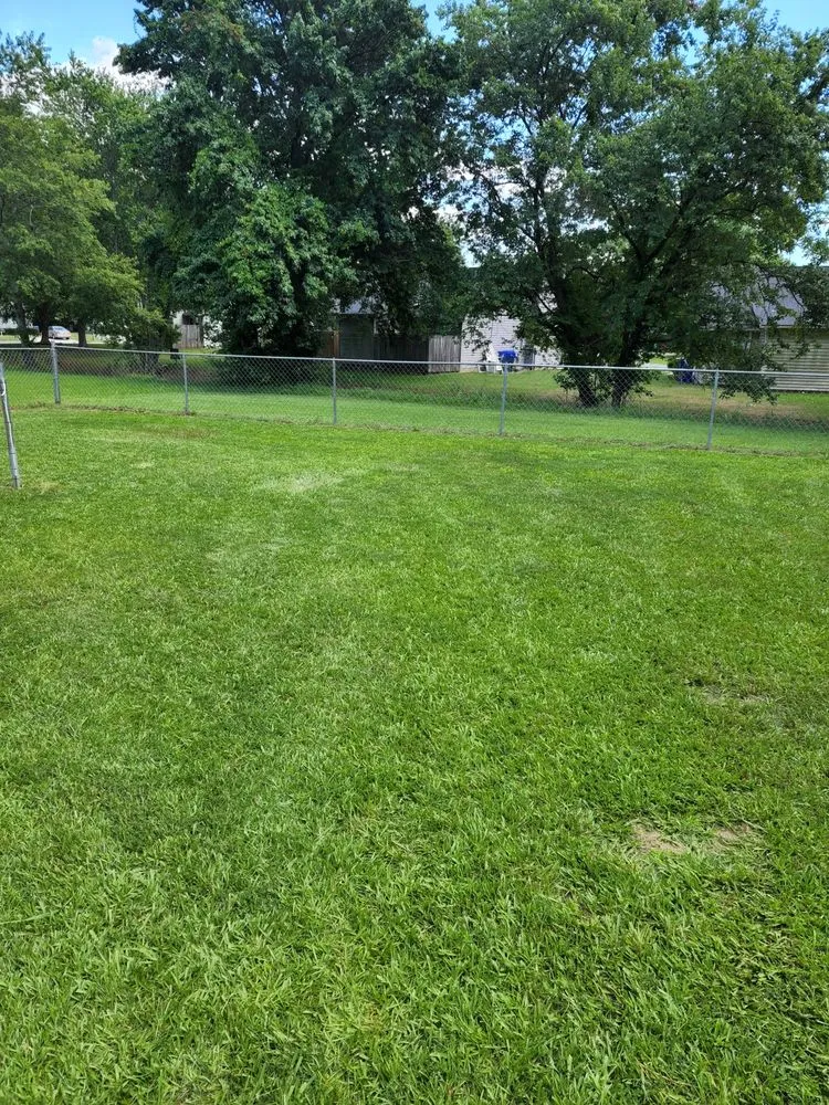 Trusted yard cleanup service experts serving Winterville, NC - Parker Maintenance Services