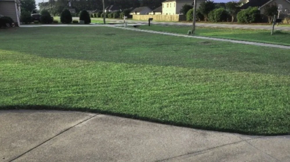 Custom residential landscaping in Winterville, NC - Parker Maintenance Services