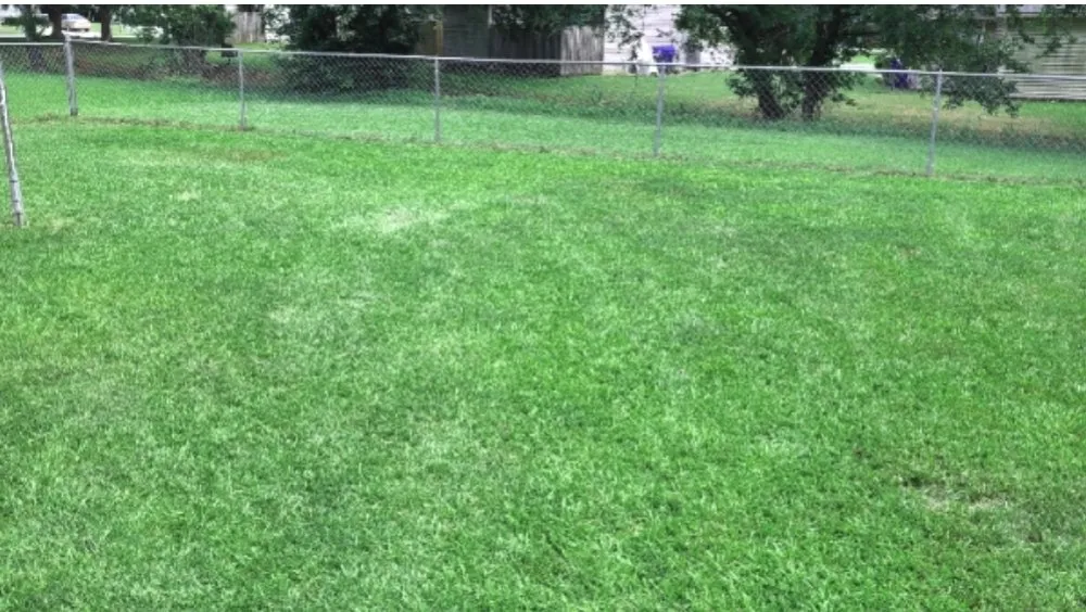 Expert residential landscaping in Winterville, NC - Parker Maintenance Services