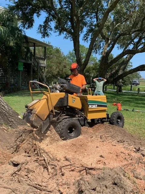 Expert landscaping services in Wilmington, NC - Parker Services