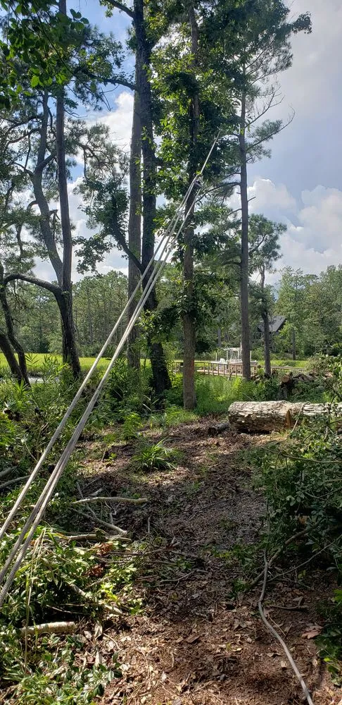 Expert yard maintenance for residential properties in Wilmington, NC by Parker Services