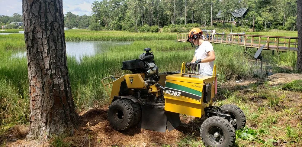 Expert landscape design in Wilmington, NC - Parker Services