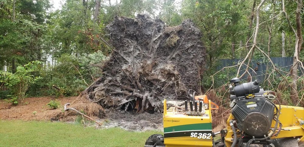 Top-rated garden landscaping near you across Wilmington, NC - Parker Services