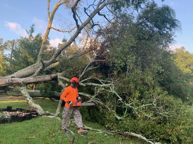 Professional garden landscaping in Wilmington, NC - Parker Services