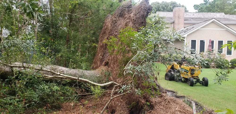 Local lawn care service for outdoor upgrades across Wilmington, NC - Parker Services