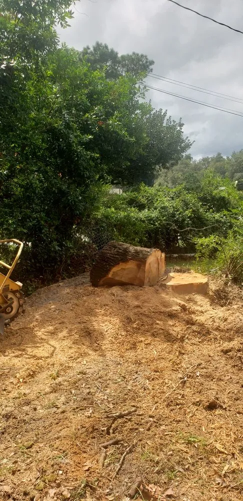 Affordable yard maintenance for outdoor upgrades in Wilmington, NC by Parker Services