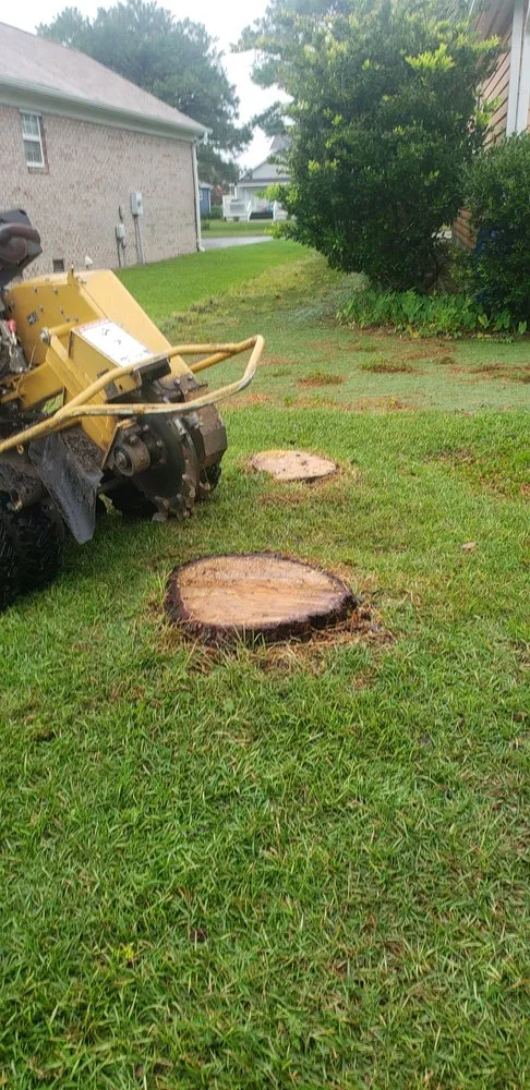 Reliable yard cleanup service in Wilmington, NC - Parker Services