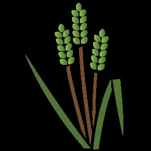 Trusted yard maintenance in Ottumwa, IA by Parker Tree & Excavation Services