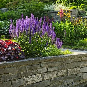 Trusted yard maintenance for beautiful yards across Ottumwa, IA - Parker Tree & Excavation Services