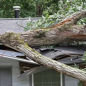 Top-rated landscape design for outdoor upgrades across Ottumwa, IA - Parker Tree & Excavation Services