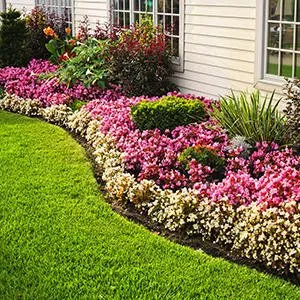 Local residential landscaping for homes in Ottumwa, IA by Parker Tree & Excavation Services