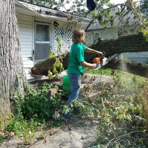 Affordable lawn care service in Ottumwa, IA by Parker Tree & Excavation Services