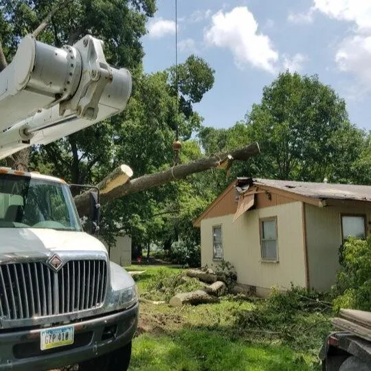 Expert landscape installation experts serving Ottumwa, IA - Parker Tree & Excavation Services