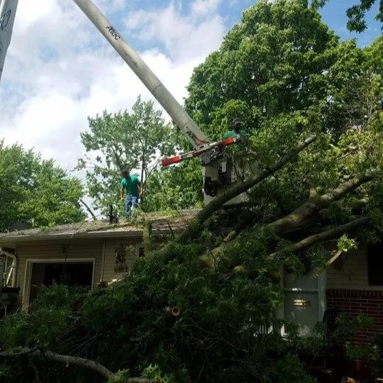Local lawn care service in Ottumwa, IA by Parker Tree & Excavation Services