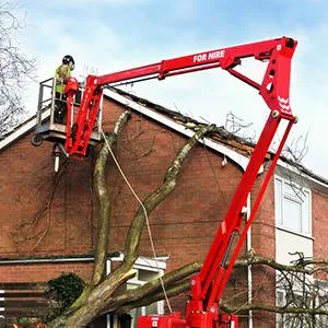 Affordable outdoor landscaping in Ottumwa, IA - Parker Tree & Excavation Services