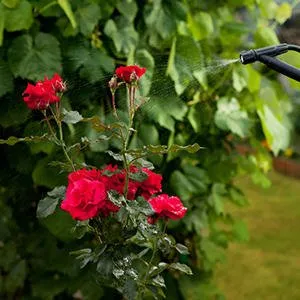 Professional yard maintenance in Ottumwa, IA by Parker Tree & Excavation Services