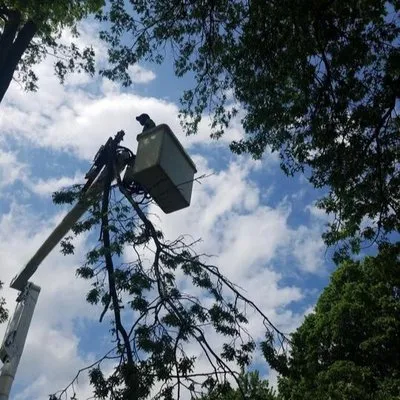 Parker Tree & Excavation Services