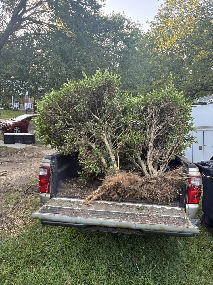 Expert yard cleanup service for residential properties across Temple Hills, MD - Parker's Exterior Services