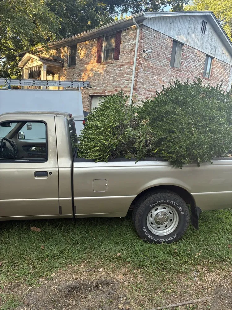 Custom yard cleanup service in Temple Hills, MD - Parker's Exterior Services