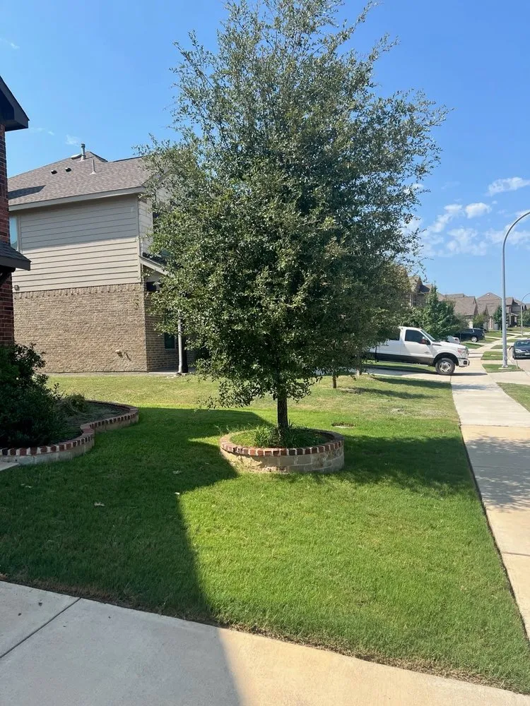 Reliable outdoor landscaping in Krum, TX by Parker’s Irrigation and Landscaping