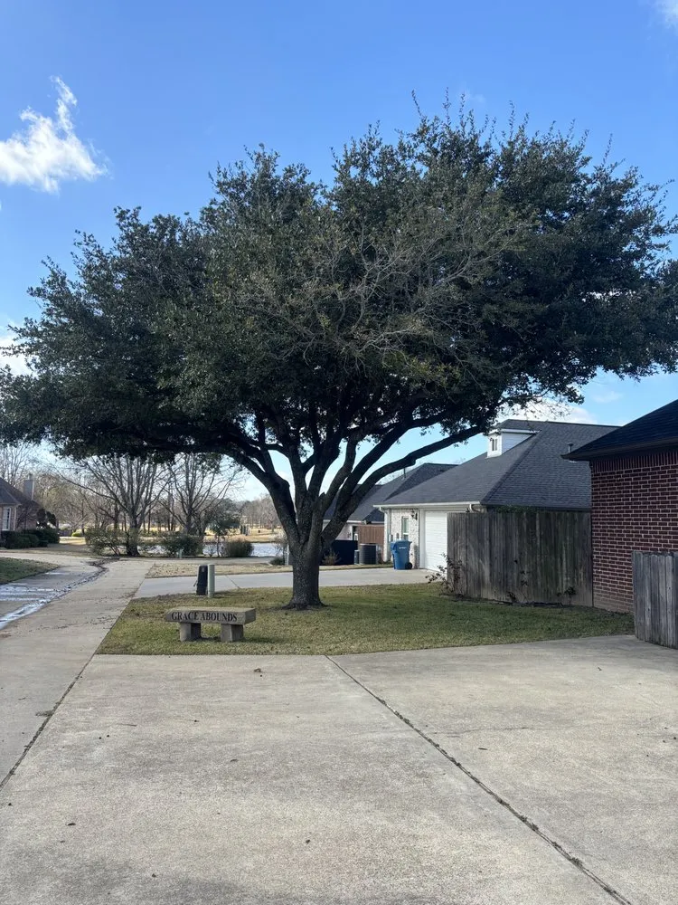 Expert landscaping services in Krum, TX by Parker’s Irrigation and Landscaping