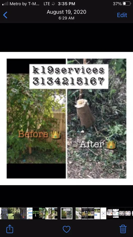 Professional garden landscaping in Harper Woods, MI - Parkers Kcrown Lawn Care