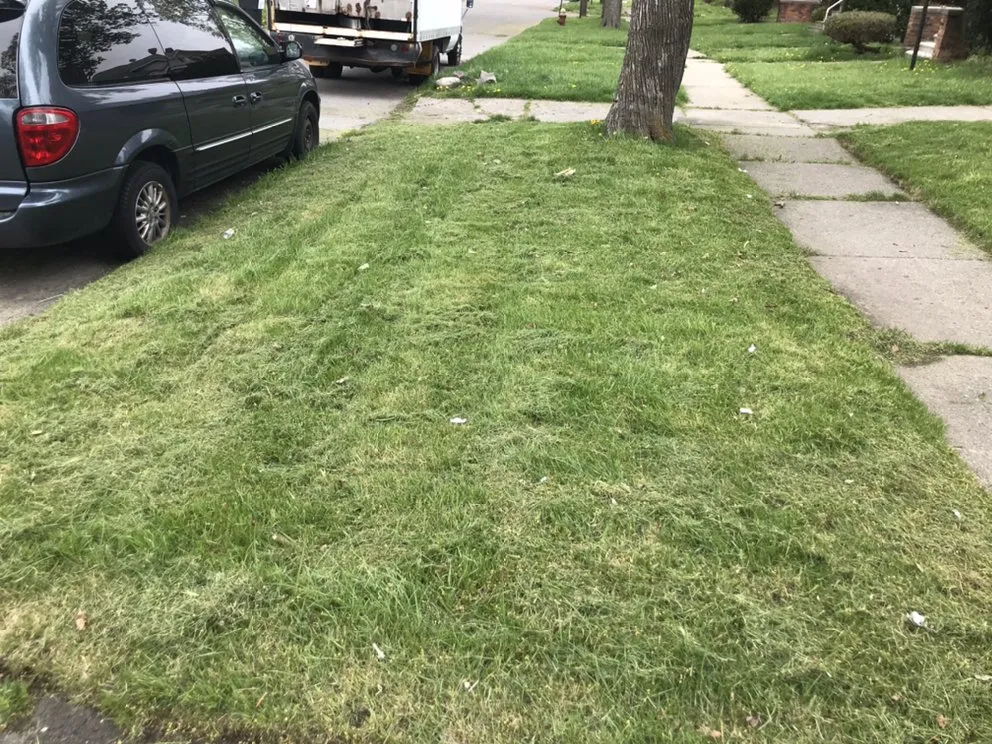 Affordable landscape installation for outdoor upgrades across Harper Woods, MI - Parkers Kcrown Lawn Care