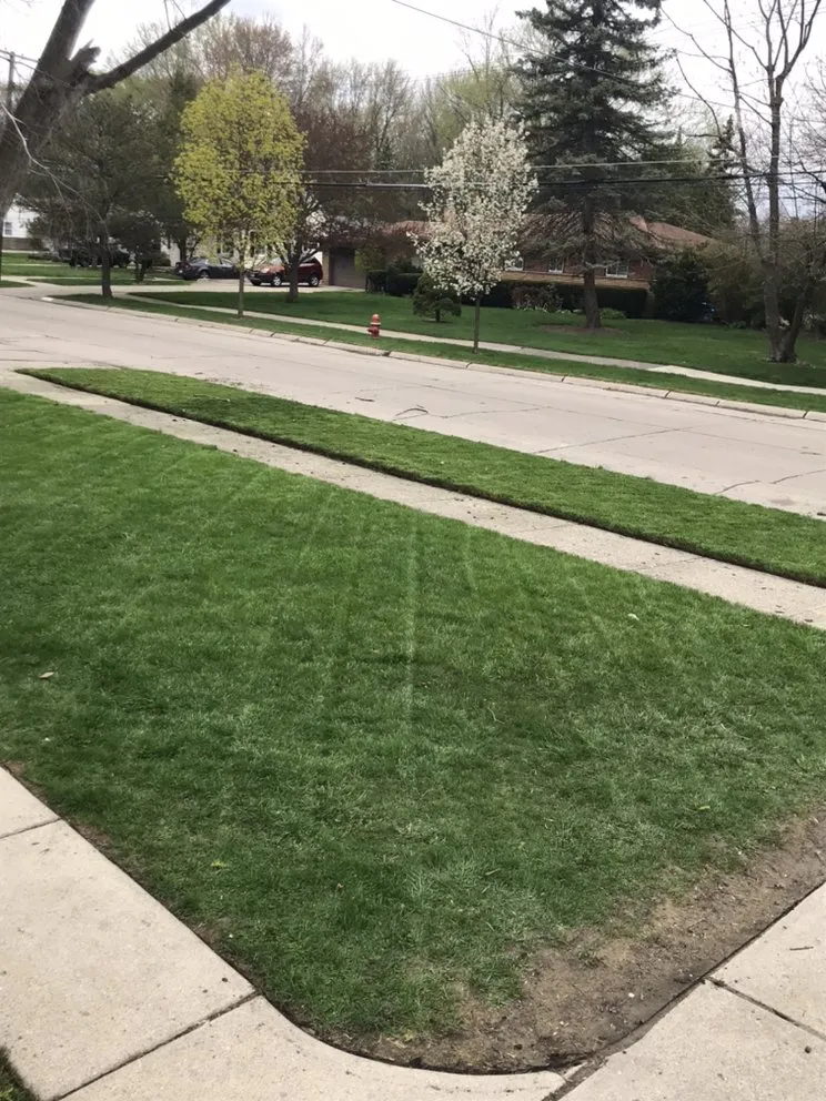 Trusted yard cleanup service in Harper Woods, MI - Parkers Kcrown Lawn Care
