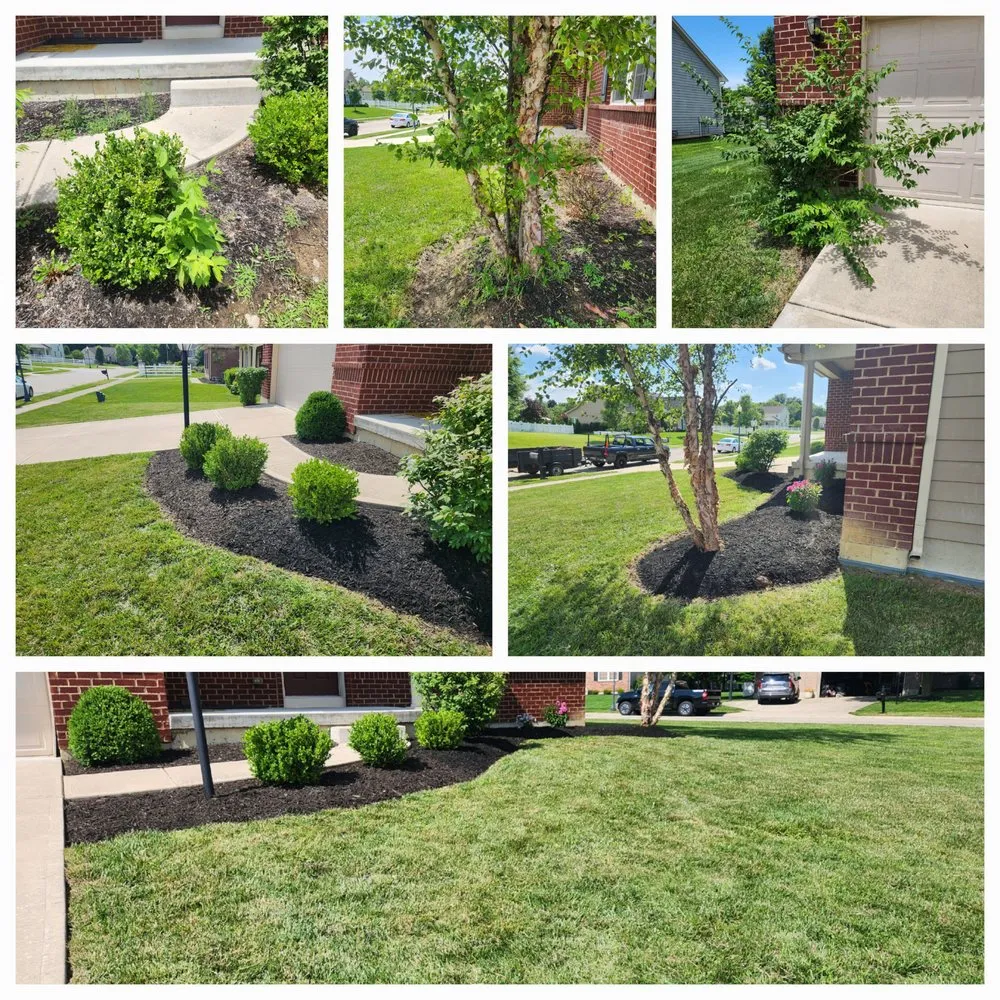 Reliable yard cleanup service in West Chester, OH - Parkers Land Management