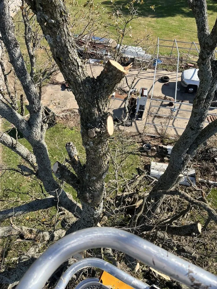 Custom lawn mowing service for year-round maintenance in Granby, MO by Parker’s Land Works