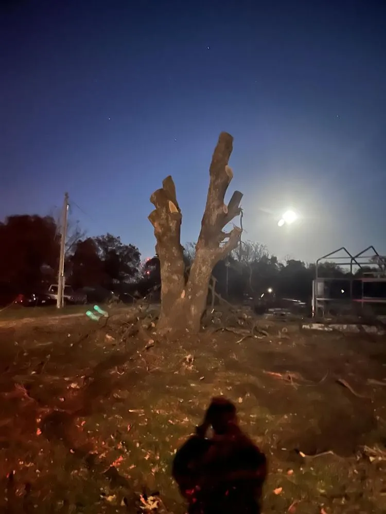 Professional residential landscaping with custom design across Granby, MO - Parker’s Land Works