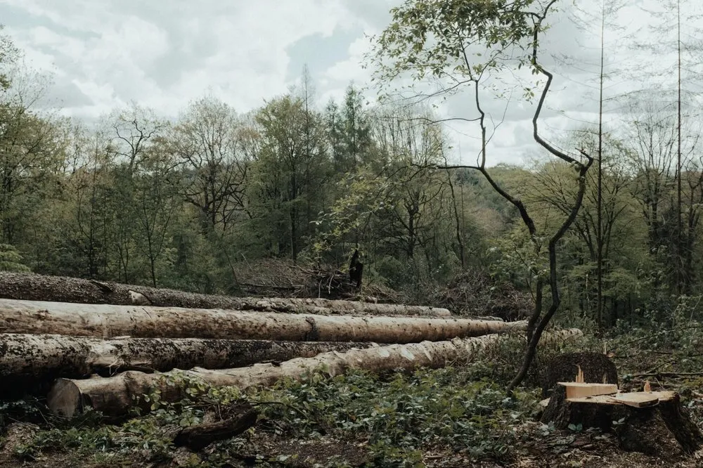 Affordable landscape installation experts serving Granby, MO - Parker’s Land Works