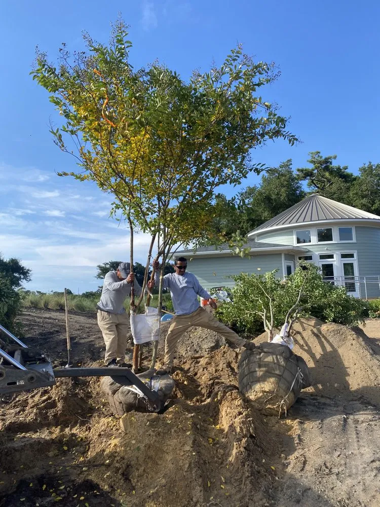 Reliable landscaping services for beautiful yards in Apex, NC by Parker's Landscape Services