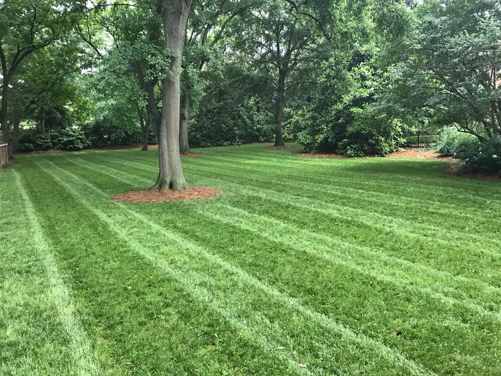 Expert residential landscaping in Apex, NC by Parker's Landscape Services