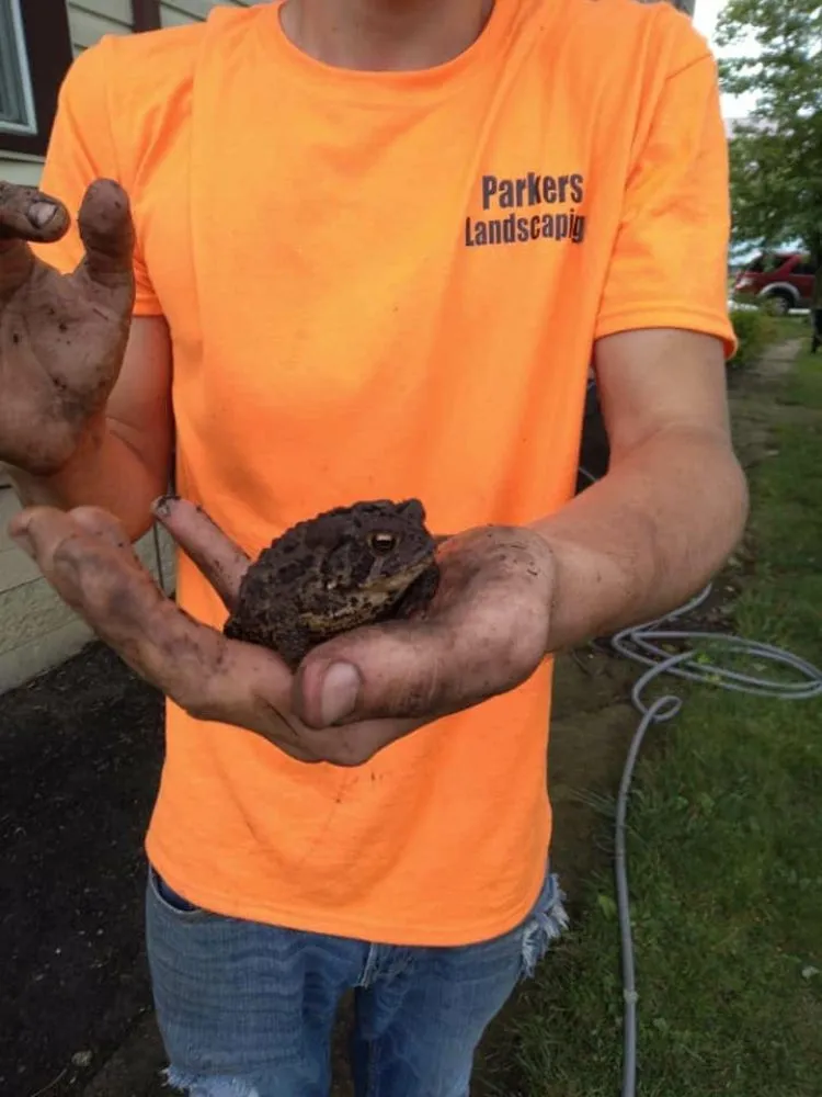 Local landscape design in Newark, OH by Parkers landscaping