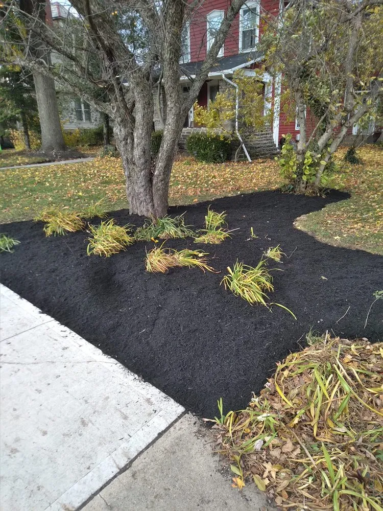 Professional lawn care service experts serving Newark, OH - Parkers Landscaping