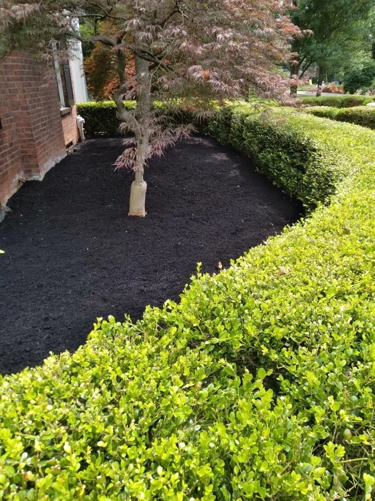 Professional lawn mowing service with custom design across Newark, OH - Parkers landscaping