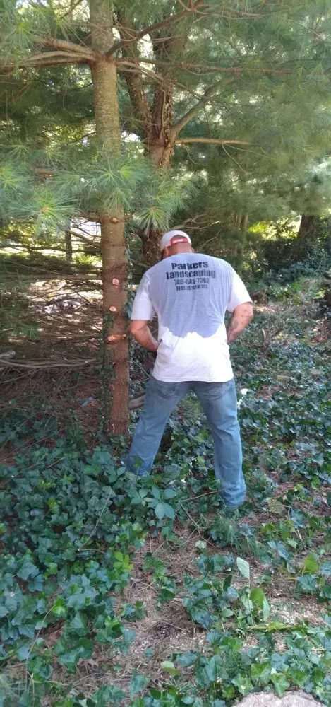 Top-rated outdoor landscaping in Newark, OH by Parkers landscaping