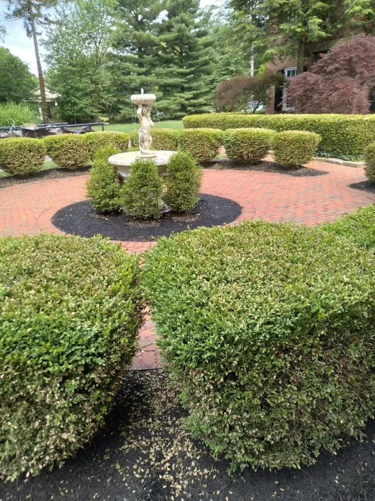 Expert landscape installation in Newark, OH - Parkers landscaping