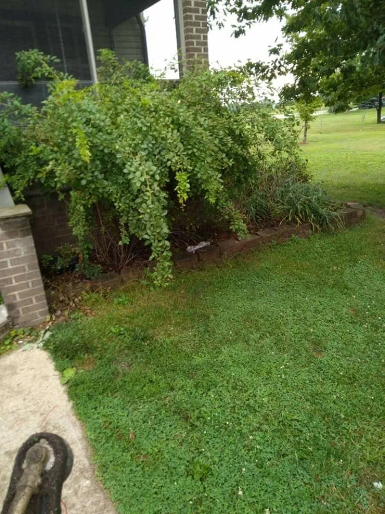 Professional outdoor landscaping in Newark, OH - Parkers landscaping