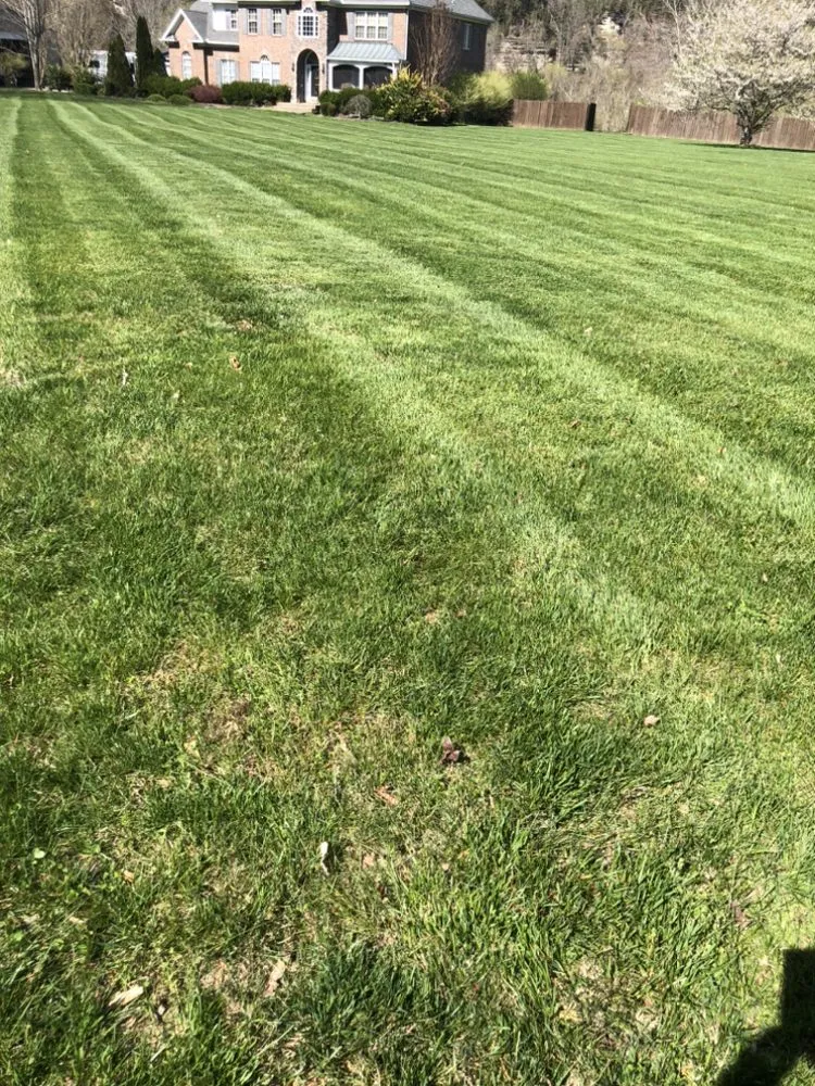 Local yard maintenance for homes across Kingston Springs, TN - Parkers Lawn Care