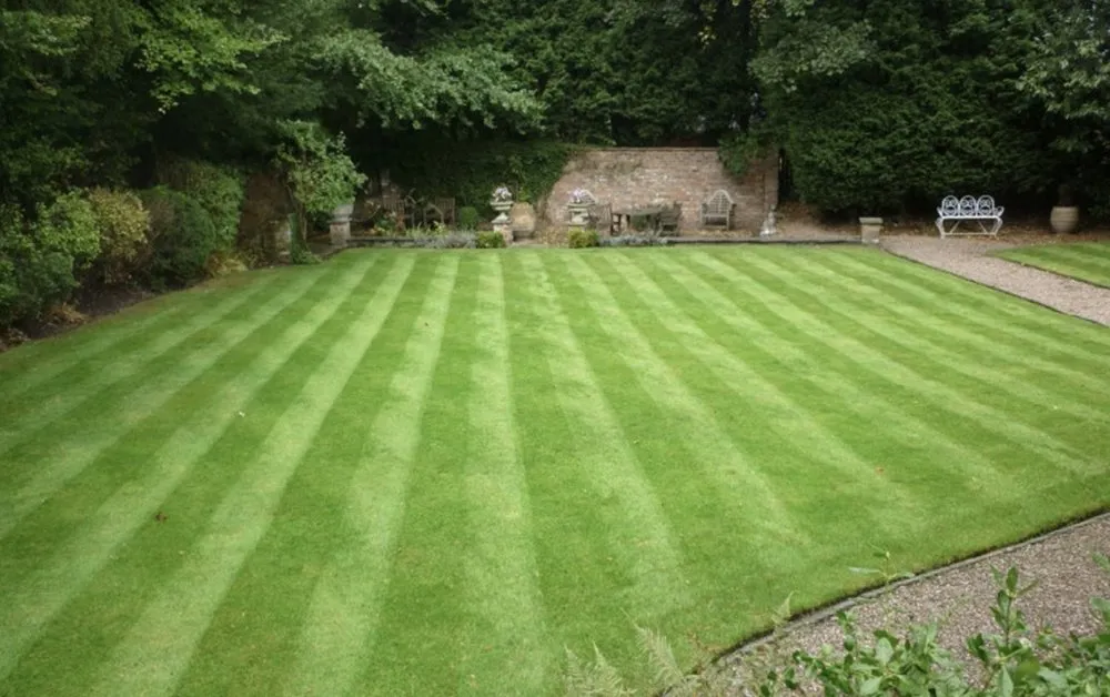 Professional yard maintenance in Pensacola, FL - Parker’s Lawn Care