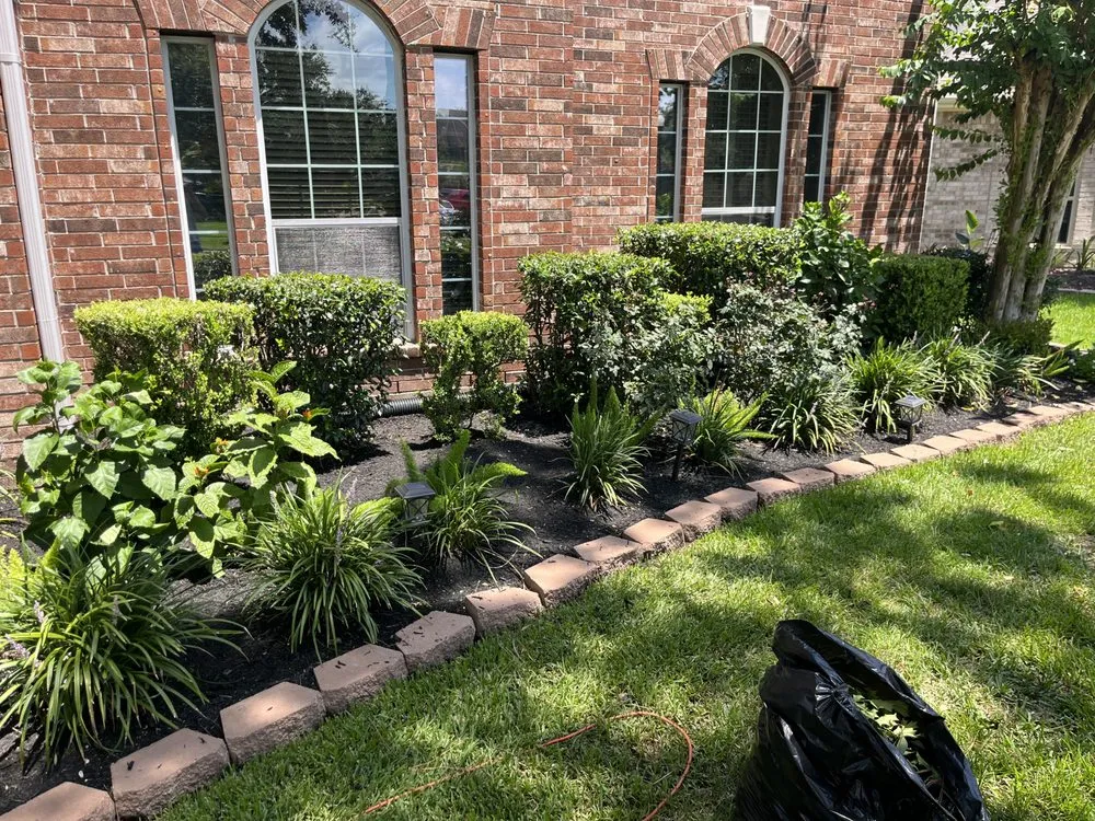 Top-rated lawn mowing service in La Porte, TX by Parker’s Lawncare And Landscaping