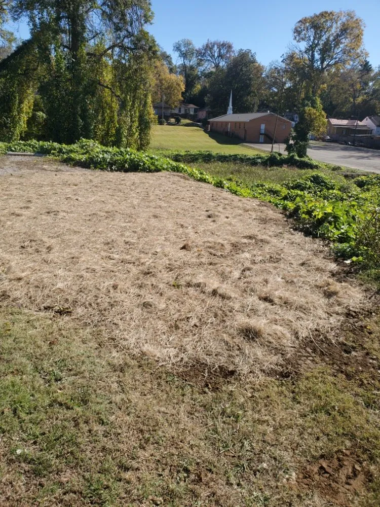 Affordable garden landscaping in Vicksburg, MS - Parker's Lawns