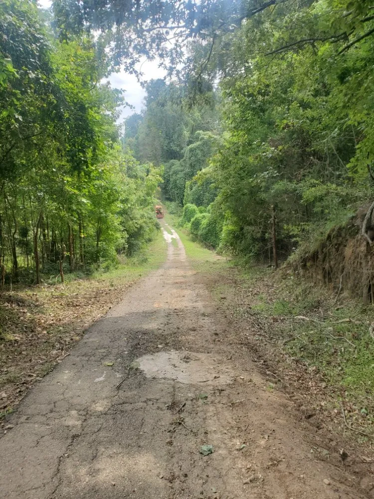 Reliable garden landscaping experts serving Vicksburg, MS - Parker's Lawns